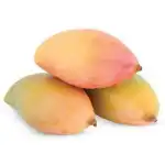 Totapuri Mango